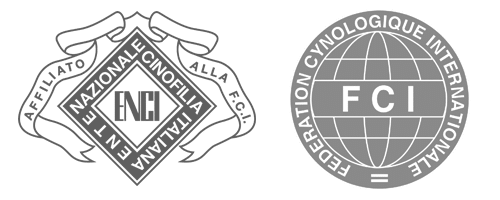 Allevamento riconosciuto ENCI FCI Labrador e Kurzhaar